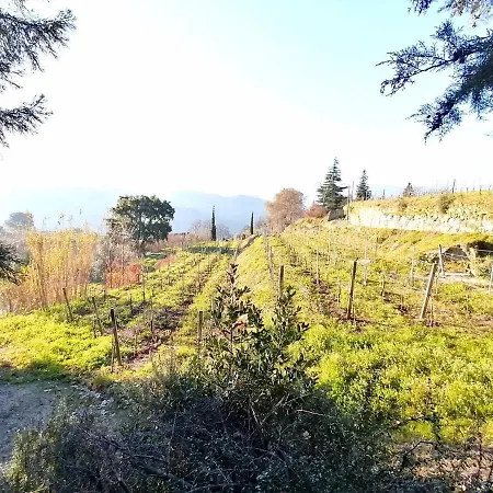 Casa Feitorias Douro Valley *