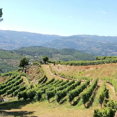 公寓 Casa Feitorias Douro Valley *