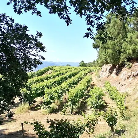 Casa Feitorias Douro Valley Lejlighed Baião