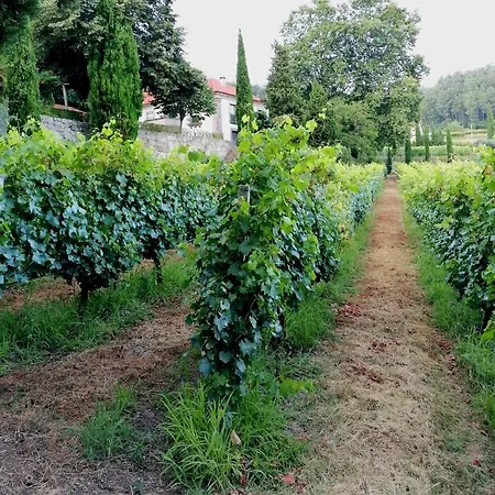 Casa Feitorias Douro Valley Daire