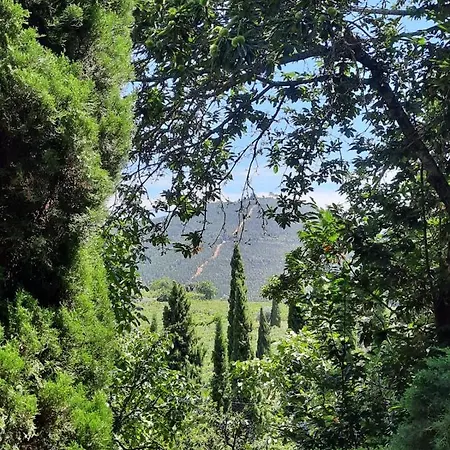 Casa Feitorias Douro Valley *