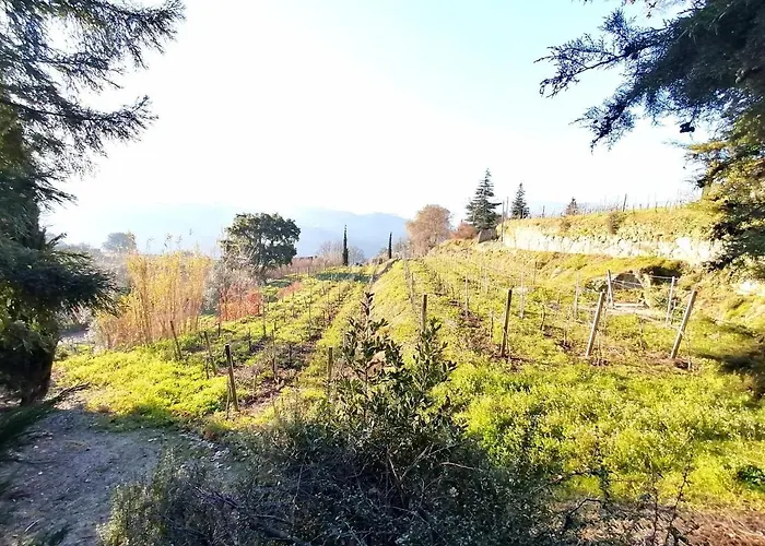 Casa Feitorias Douro Valley *