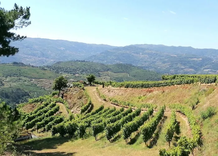 Apartment Casa Feitorias Douro Valley *