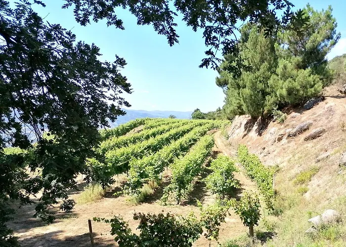 Casa Feitorias Douro Valley Apartment Baiao