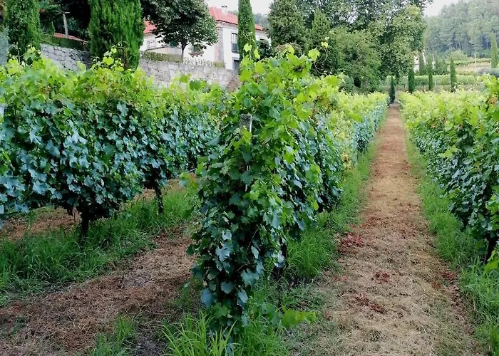 Casa Feitorias Douro Valley Apartamento